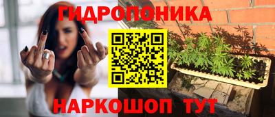 сатива Малгобек