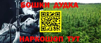 сатива Малгобек