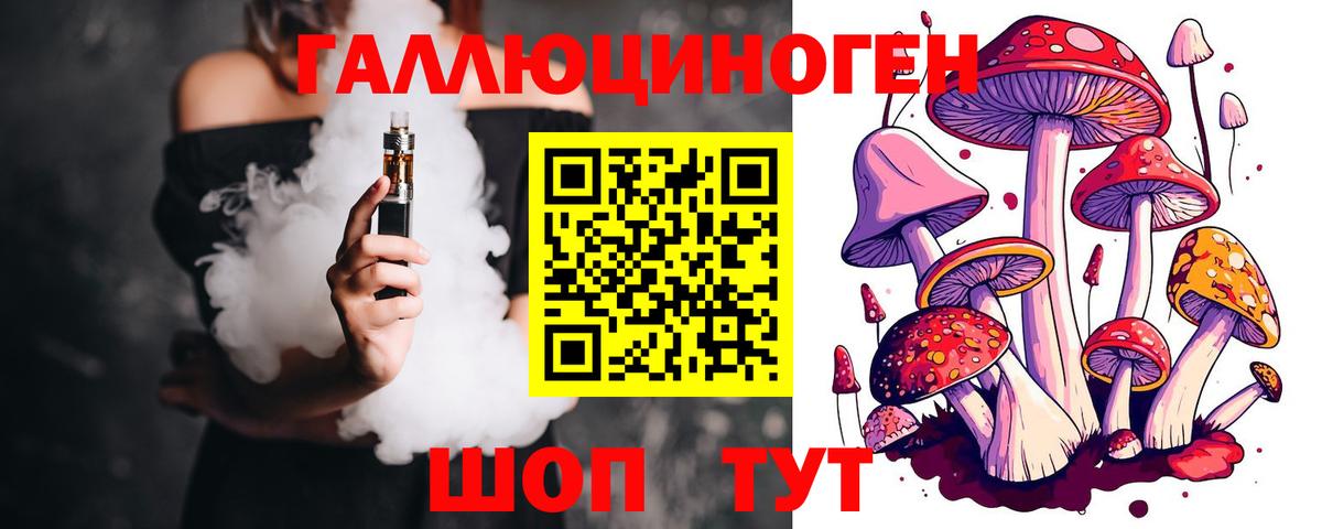 Псилоцибиновые грибы Psilocybine cubensis Абинск